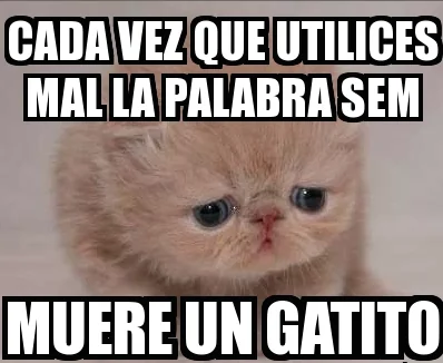 Cada vez que utilizas mal la palabra SEM...