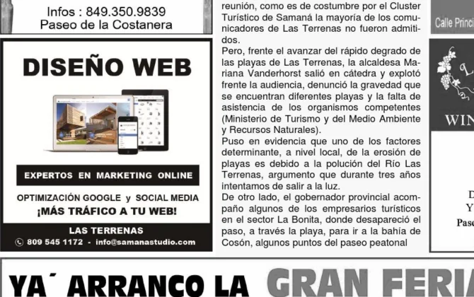 Website Design in Samaná