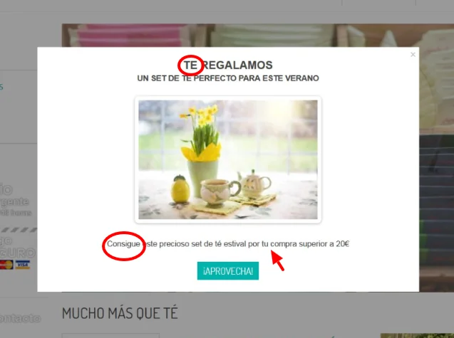 consejo-1